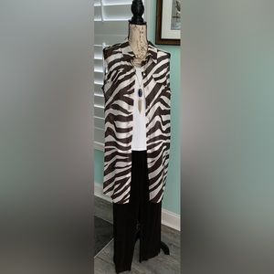 Chico’s - Summer Sheer Zebra Sleeveless Tunic - Chico’s size 2 (size 12)